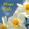 Pfingsten GB Pics