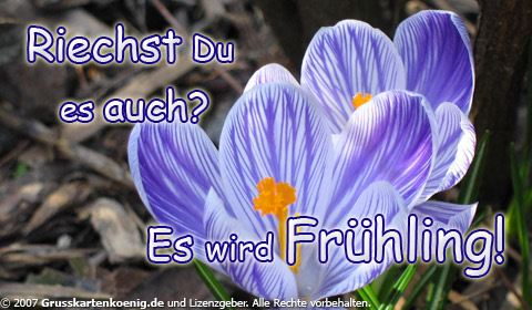 Frühling