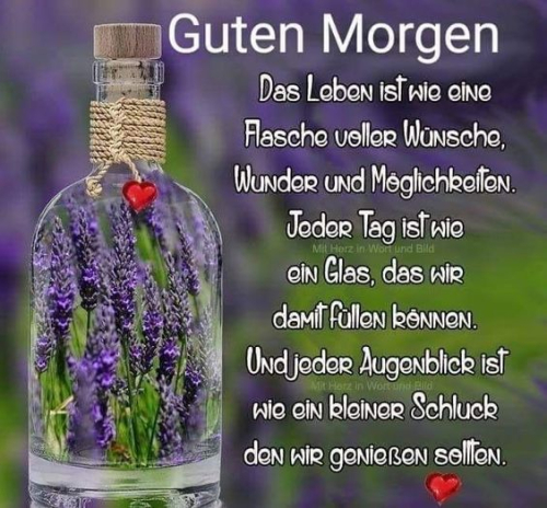 Guten Morgen