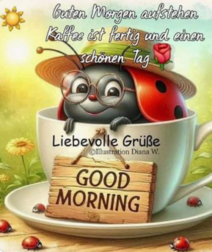 Guten Morgen
