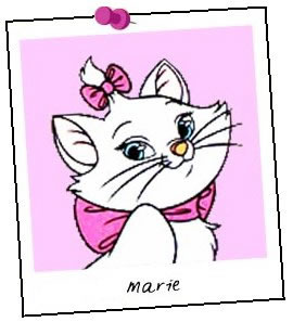 Kätzchen Marie